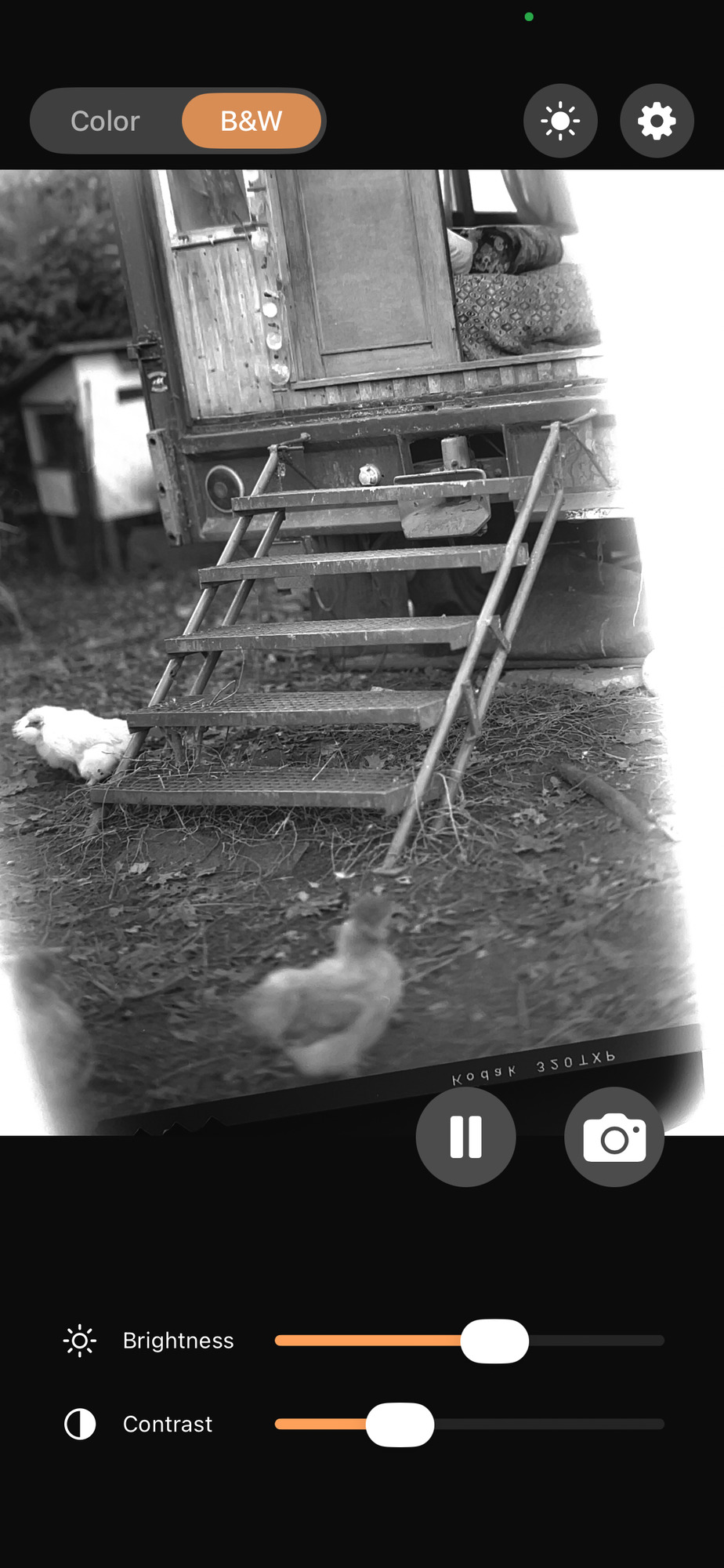 Positive View in black-and-white mode displaying a negative photograph of a caravan and chickens.